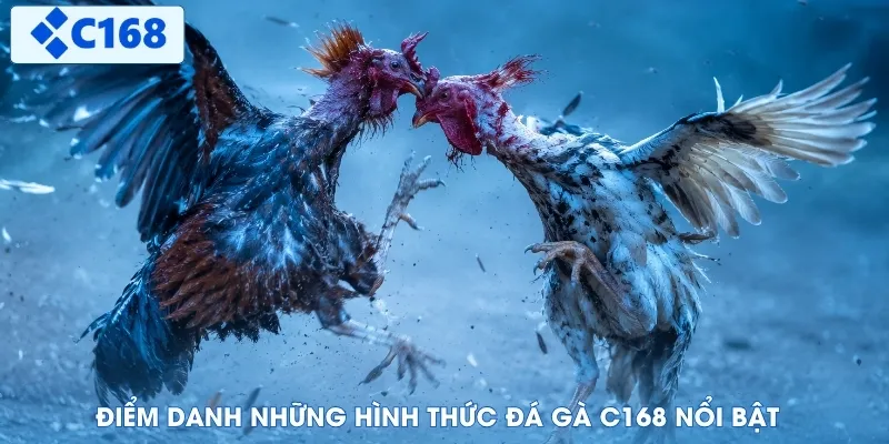 Điểm danh những hình thức đá gà C168 nổi bật