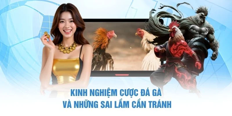 Kinh Nghiệm Cược Đá Gà – 4 Bí Quyết Quan Sát Và Chọn Kèo 4 Kinh nghiệm cược đá gà và những sai lầm cần tránh