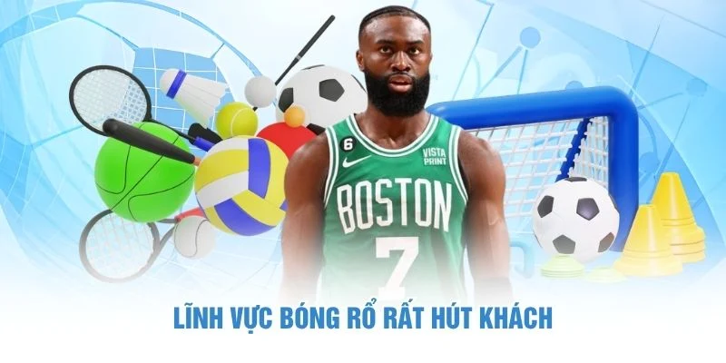 SBO Thể Thao - Sảnh Giải Trí Kinh Điển Được Ưa Chuộng 3 Lĩnh vực bóng rổ rất hút khách