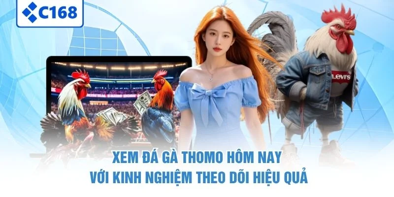 Xem Đá Gà Thomo Hôm Nay – Lịch Thi Đấu Và Cách Theo Dõi 4 Xem đá gà Thomo hôm nay với kinh nghiệm theo dõi hiệu quả