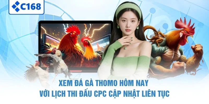 Xem Đá Gà Thomo Hôm Nay – Lịch Thi Đấu Và Cách Theo Dõi 2 Xem đá gà Thomo hôm nay với lịch thi đấu CPC cập nhật liên tục